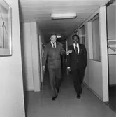 Nigerianskt besök å varvet