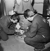 Personalen på hydrofon och elmiljöavdelningen