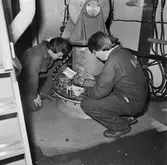 Personalen på hydrofon och elmiljöavdelningen