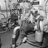 Int av M73 Koster beskrivning