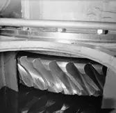 Snäckväxlarna M73 Koster