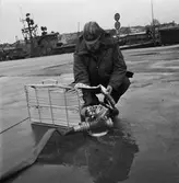 Nya brandlådor å varvet