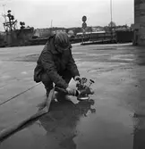 Nya brandlådor å varvet