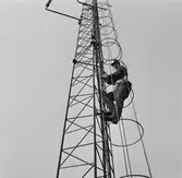 Arbete i telemasten k-v nytt