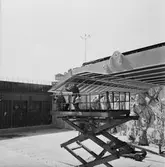 Arbetsbilder på Baltic Print i botten och maskinrum