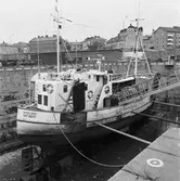 Fiskebåtar i docka 2 och 4