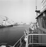 Isbrytaren Ymer, Alle och Njord vid kaj