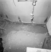 Int av segelfartyget Gladan