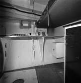 Int av träminsveparen Rödlöga