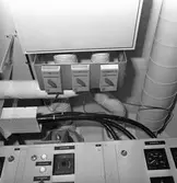 Int av Koster beskrivning