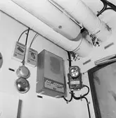 Int av Koster beskrivning