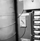 Int av Koster beskrivning