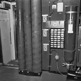 Int av Koster beskrivning