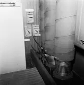 Int av Koster beskrivning