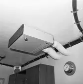 Int av koster beskrivningen