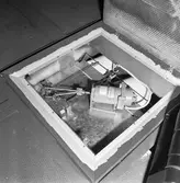 Int av Koster beskrivningen