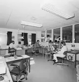 Personalen på godsmottagningen och kontrollen