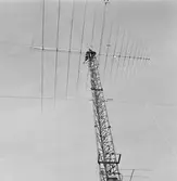 Lyft av telemast med helikopter