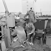 Arbetsbilder ombord på M76 Ven k-v nytt