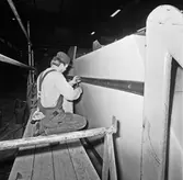 C G13 i plastverkstaden