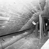 Arbete med Norska Sesen i plastverkstan