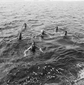 Sem. bild badande vid Söderstjärna