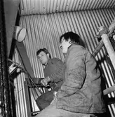 Personalen driftavd. i olika arbetsuppgifter k-v nytt