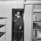 Besök av skolklasser från Fridlevstad och Rödeby