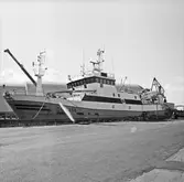 Fiskebåtar i docka 1 o 2