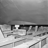 Hydrofone i botten på Ptrb. Vidar