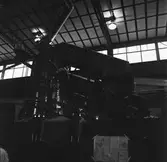 Besökande från armen till krigsbron