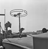 Ext av Torpedbåten Norrköping för modellbygge