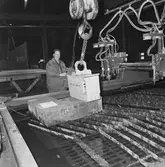 Skärmaskin i arbete med 250 m/m tjock plåt