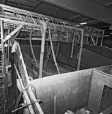 Singapore fartyget i plastverkst.