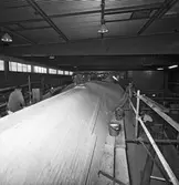 Int o ext av Nyb 435, 436, 437 o 438 Singapore