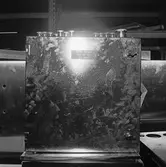 El panel till Singaporefartygen beskrivning