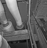 Int o ext av Nyb 435 Singapore