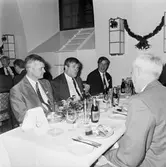 Veteranfesten med lucia