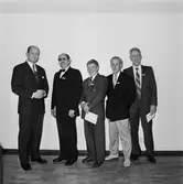 Veteranfesten med lucia