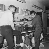 Personal på televerkst. arb. bilder