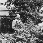 Varvsfesten å Lindholmen