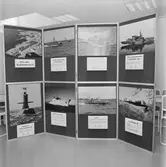 Varvets utställningsskärm