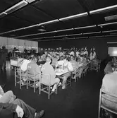 Lucia i matsalen kv-nytt