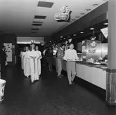 Lucia i matsalen kv-nytt