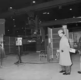 Invigning av ny svetsrobot till krigsbroar