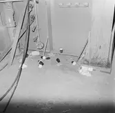 Oreda på verkstadsgolvet i plåt och svetsverkst.