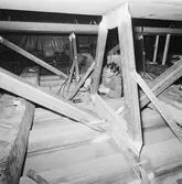 Arbetsbilder på krigsbro 48 m i plåtverkst.