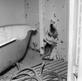 Dristigheten skjutskador