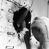 Dristigheten skjutskador