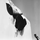 Dristigheten skjutskador